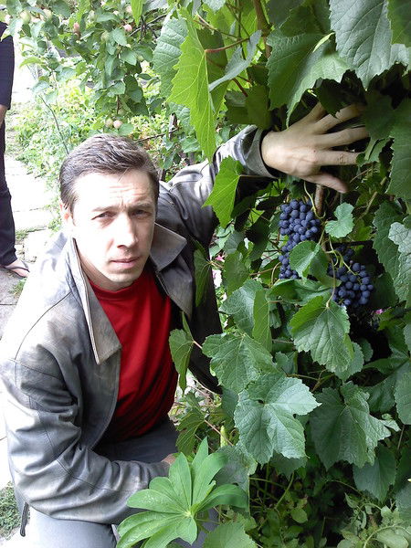 Сергей Луценко