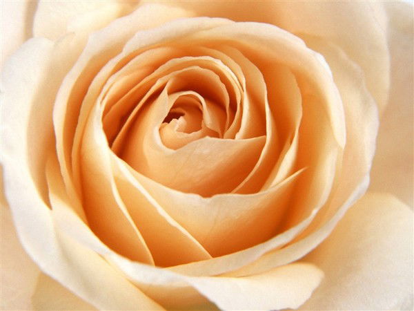 Евгения Лаврентьева