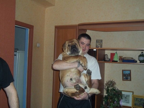 Алексей Пальцев