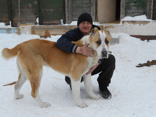 Денис Михайлёв