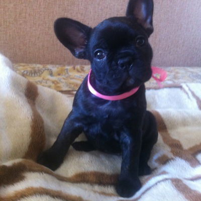 Илья Логинов