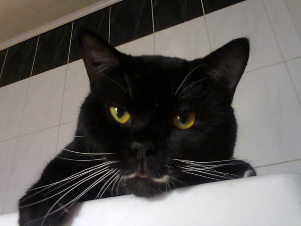 Татьяна Константинова