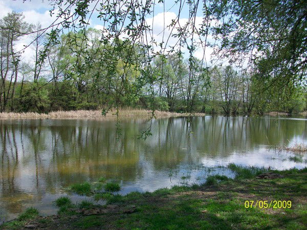 Юлия Слюсарева