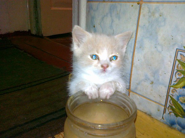 Владимир Слободенюк