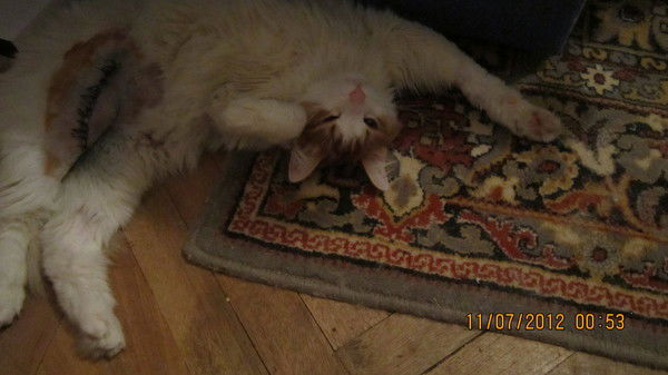 Надежда Емельянова