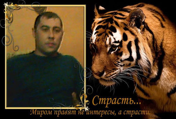 Ринат Гайфуллин