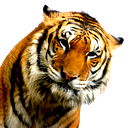 Иван Иванов