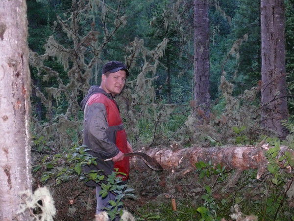 Александр Толмачёв