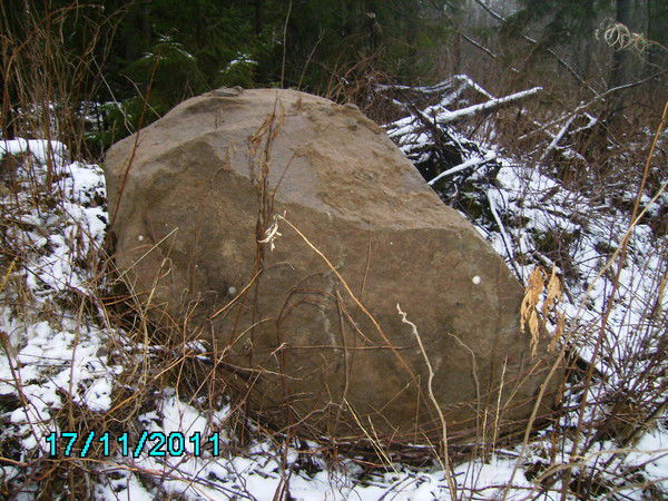 Максим Ненарочнов