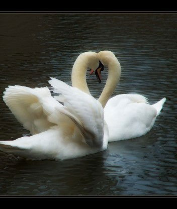 Алексия ))))))))))))