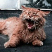 Влад Мирославский