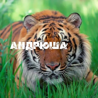 Андрей Ершов