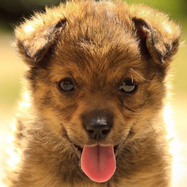 Никита Клинцов