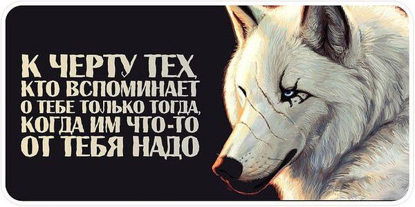 Андрей Елисеев