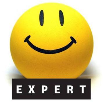 Эксперт- Сервис