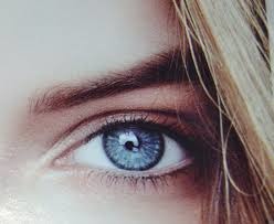 @@@@ В І К А @@@@