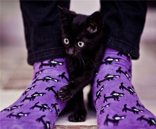 Катя Жабина