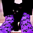 Катя Жабина