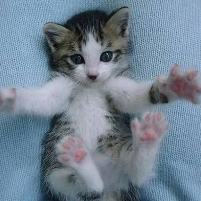 Слава Красовицкий