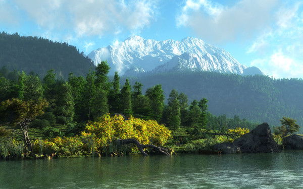 Сау Адыгейская Лесопожарная Охрана Хуако Мурат
