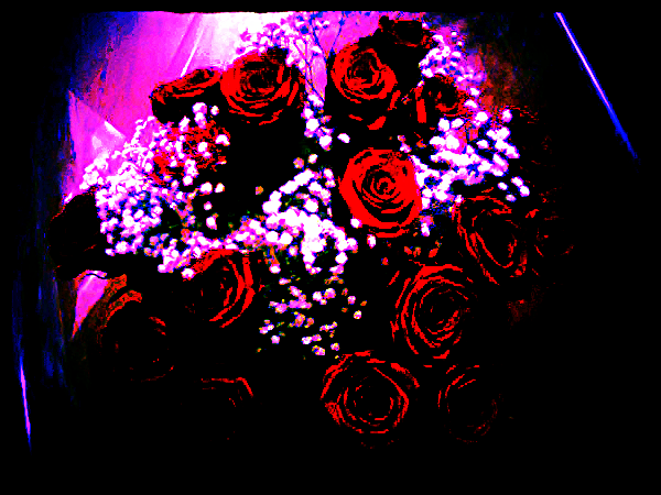 Алия Битуреева