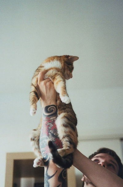 Виктория Синюкова