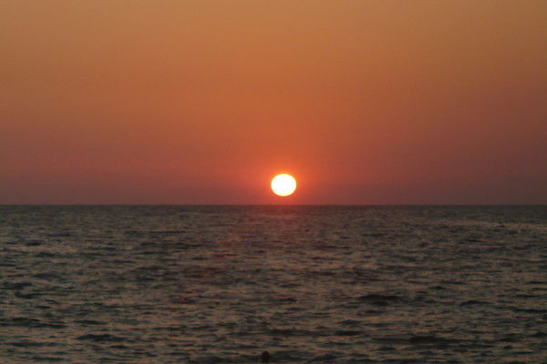 Елена Халина