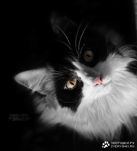 Надежда Бахтина