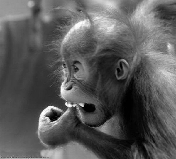 Юрий Савостьянов