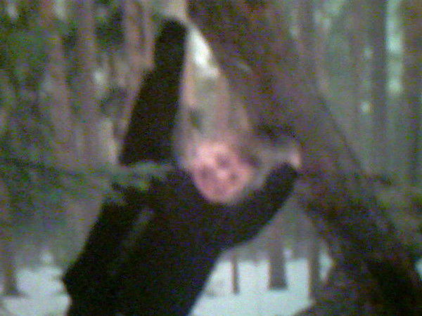 Алешка Борисов