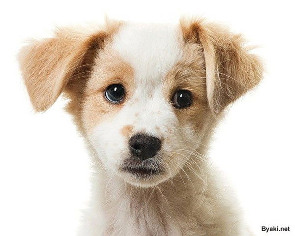 Кирилл Чернов