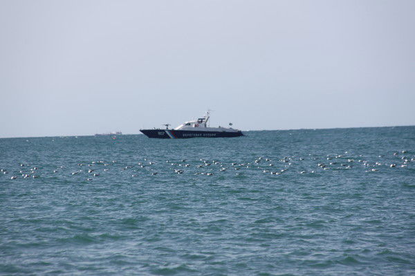 Надежда Степанова