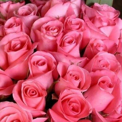 Лаура Жумабек