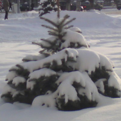 Ольга Лычагина