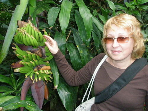 Елена Валиева