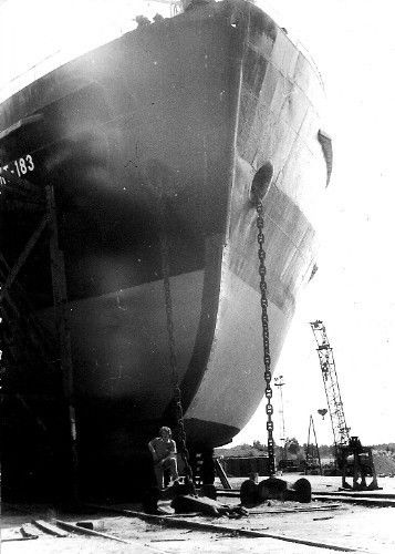 Андрей Меньшутин