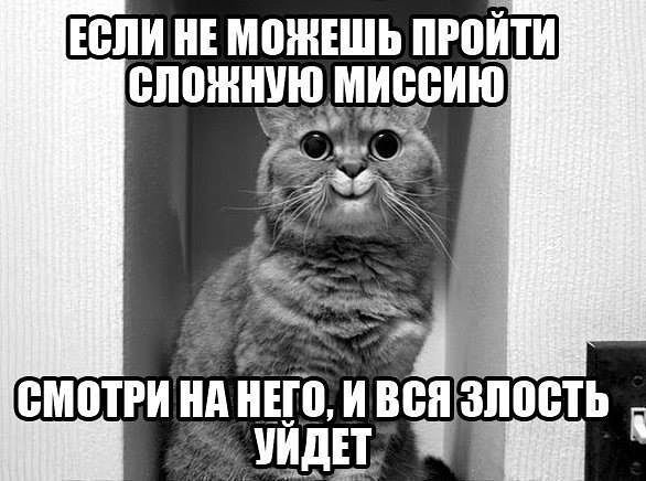 Татьяна Копать