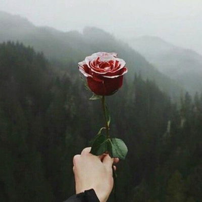 Паша Романов