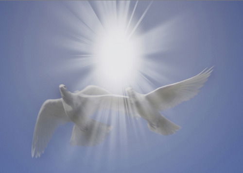 Свободный Художник