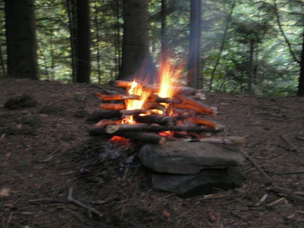 Леся Борисенко