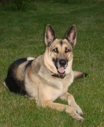 Карасев Павел