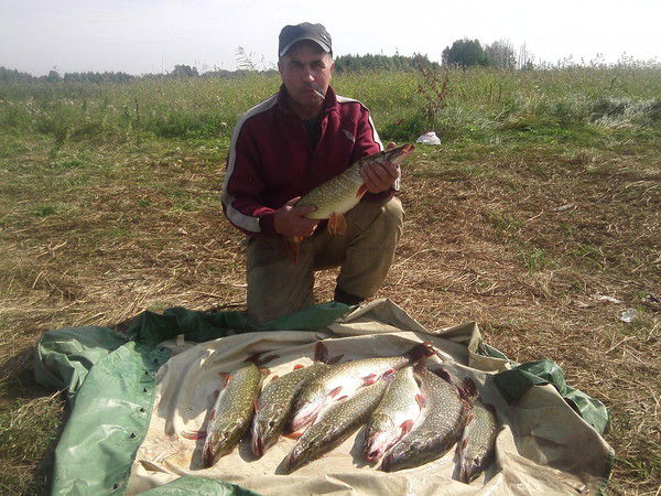 Владимир Лескин