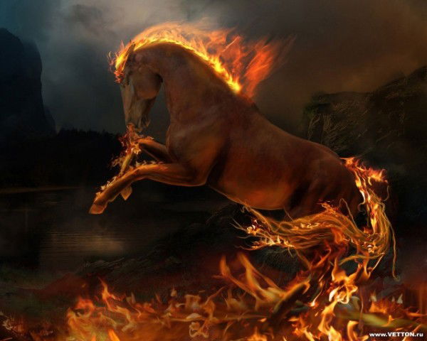 Лариса Стреканова