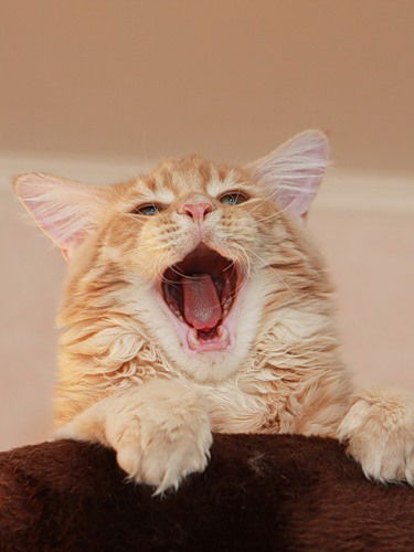 Наталья Кромка