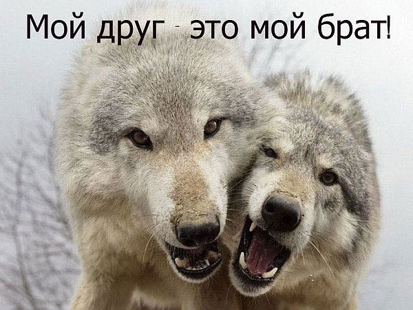 Леонид Васильев