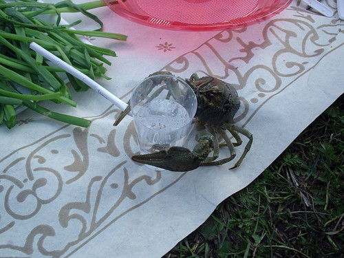 Марс Шмуклер