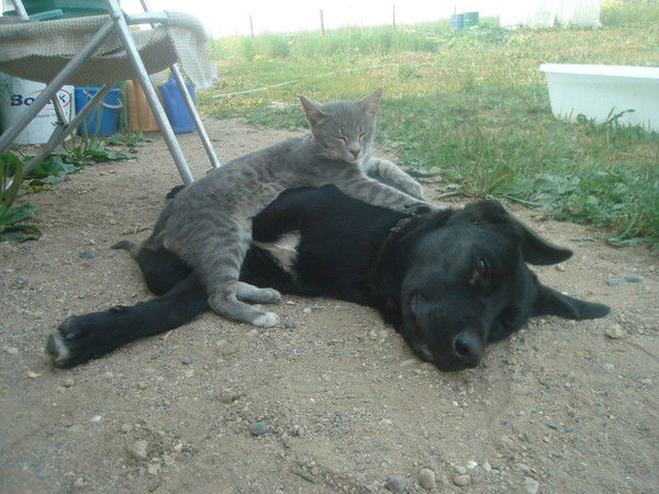 Анатолий Астапов