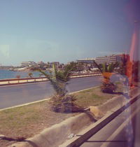 Лиза Гришина