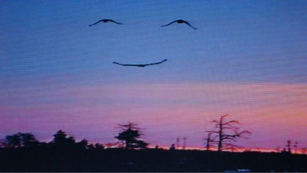 Валентина Воробьева