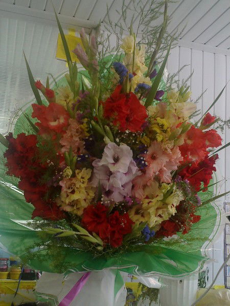 Лена Бережецкая